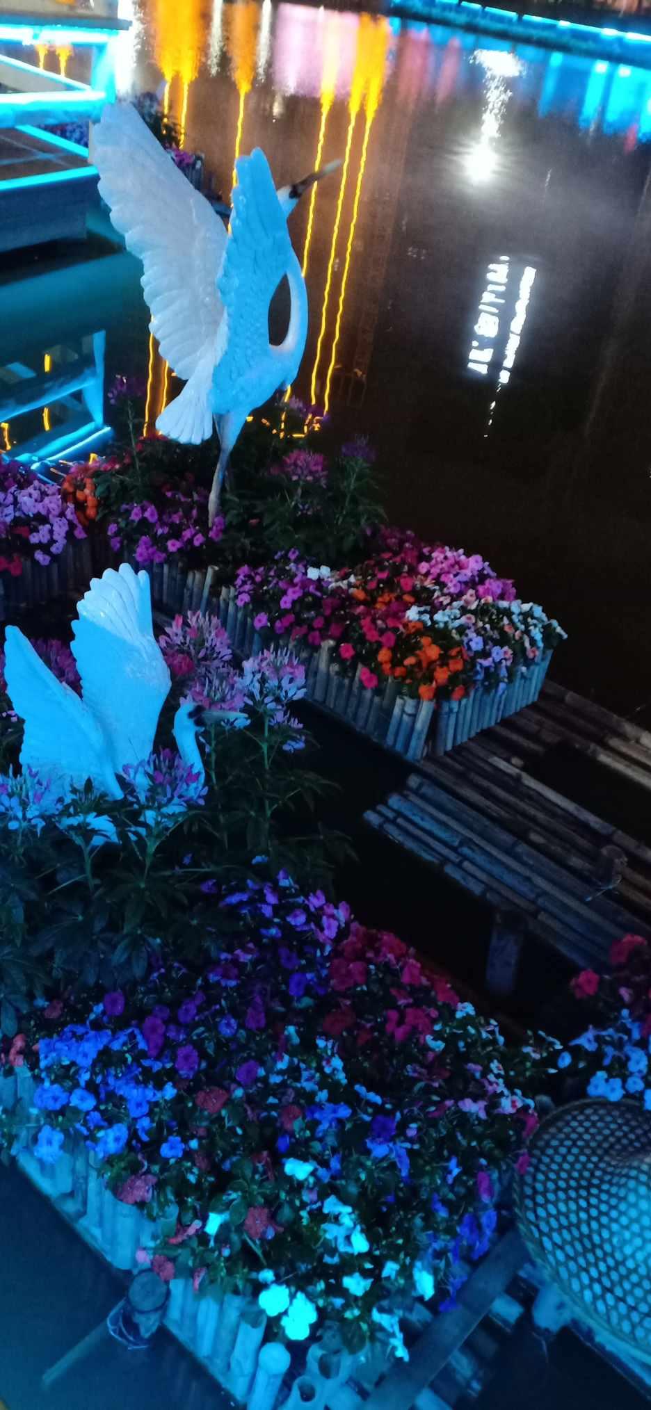 深入了解煎炸热毒的食物指的是什么?知识星球,解锁更多学习之门